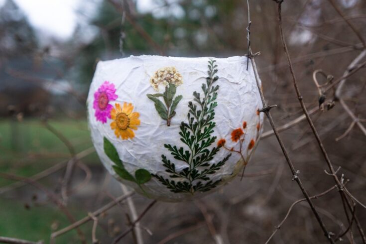 Image for DIY Paper Lanterns with Nature