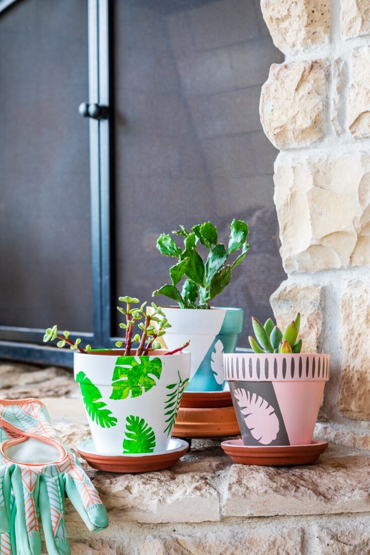Image for How to Make Easy DIY Painted Flower Pots (2025)