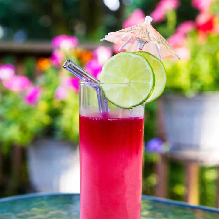 Image for Hibiscus Moscow Mule Recipe