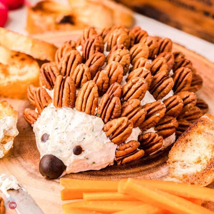 Image for Hedgehog Cheese Ball Recipe