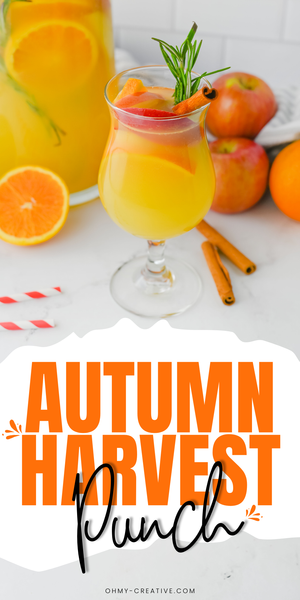 An image of the Autumn Harvest Punch recipe that is easy to make!