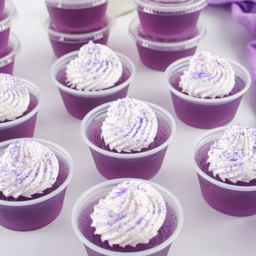 An image of Purple Hooter Jello Shots.