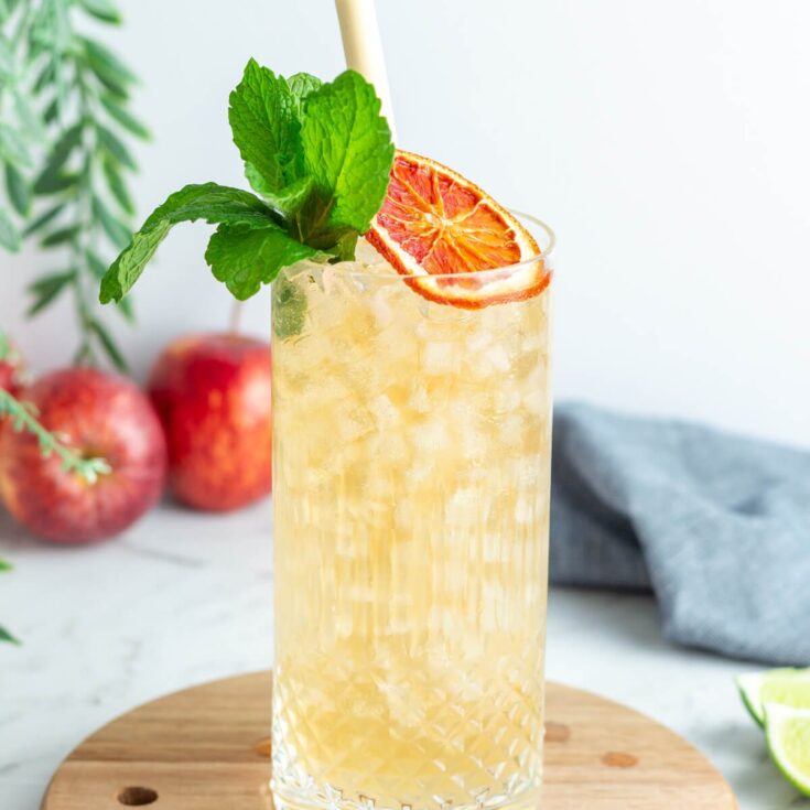 Image for Apple Ginger Fizz 
