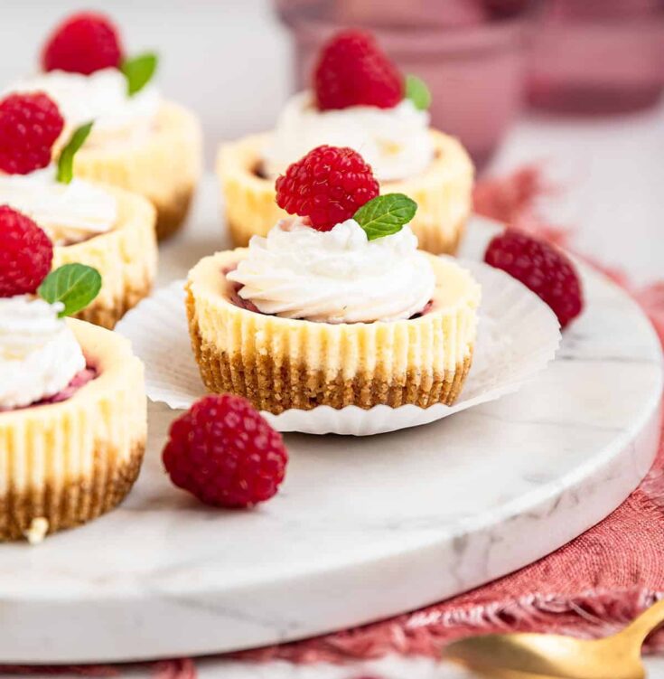 Image for Raspberry Swirl Mini Cheesecakes