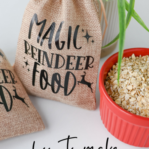 An image of Reindeer Food Bags that makes the night feel bright for little ones.