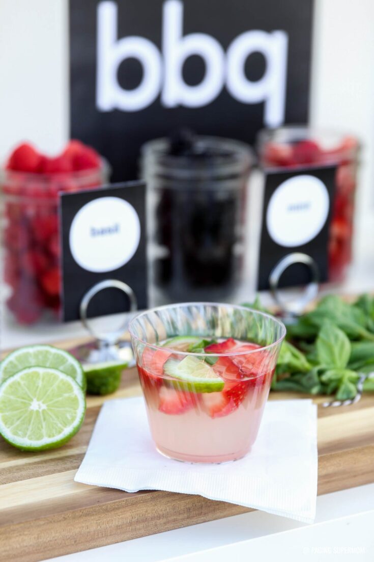 Image for Modern Summer BBQ Gourmet Lemonade Bar