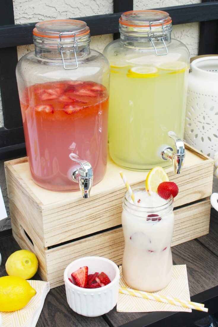 Image for Homemade Lemonade Float Bar